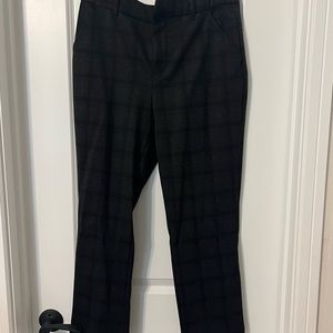 Wit and wisdom pants